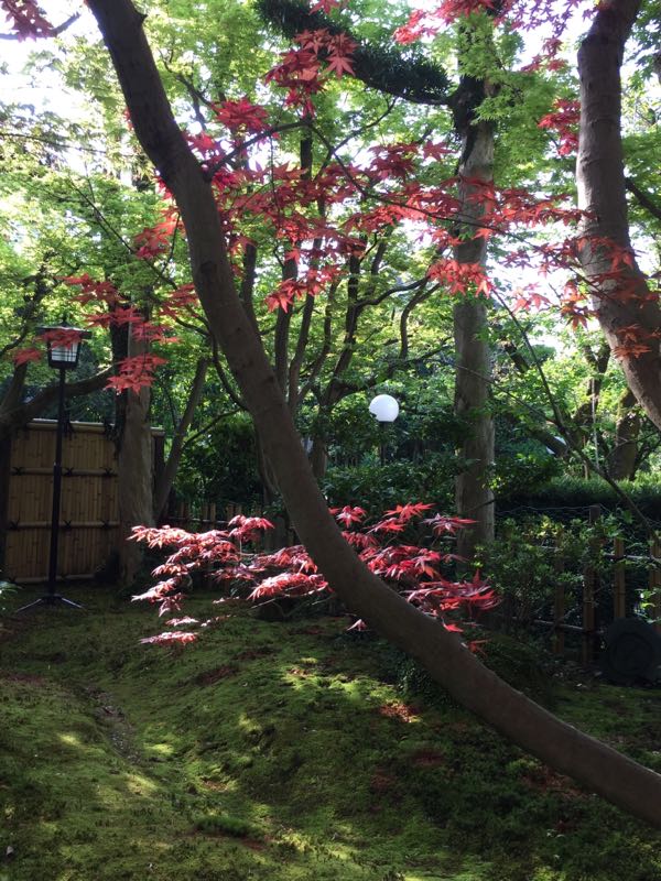 rblog-20180411114815-03.jpg