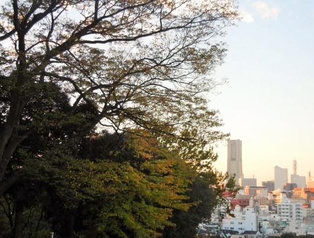 DSCN6489.JPG