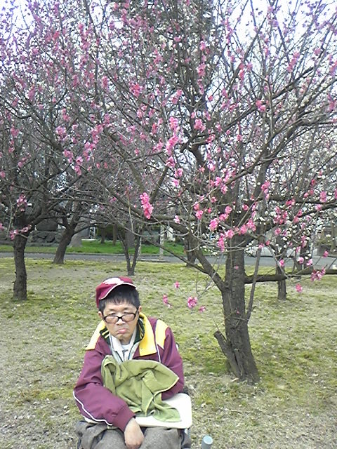馬場記念公園　　その3