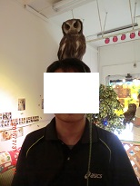 20150731_月島・フクロウのみせ31小さいの頭のせ - コピー.JPG