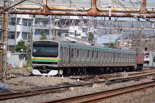 EF81 134牽引 231系 配給 & EF64 1030牽引 253系山手線トウ09編成 配給 & EF81 97牽引 カシオペア函館アフターDC送り込み回送2
