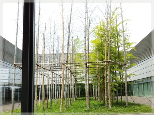 国立新美術館・竹の中庭
