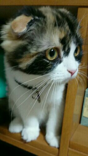 rblog-20161208095610-00.jpg