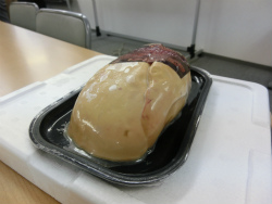 20121114 (7).jpg