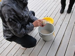 IMG_5386.JPG