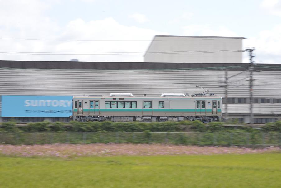 DSC_6673.JPG