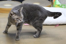 5DA_3345-28.jpg