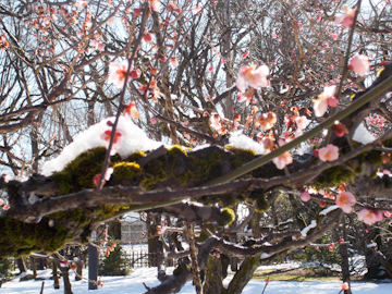 DSCN5510.jpg