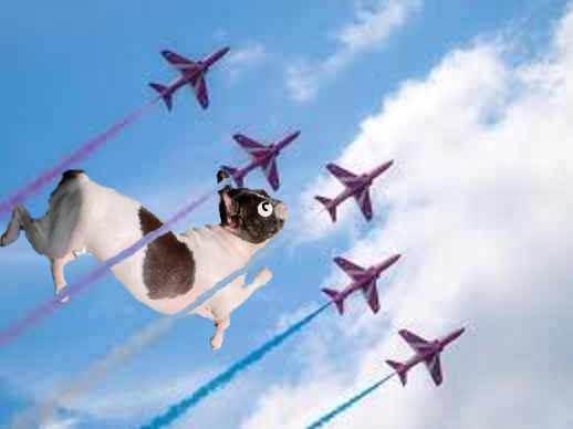 飛行機　１.jpg