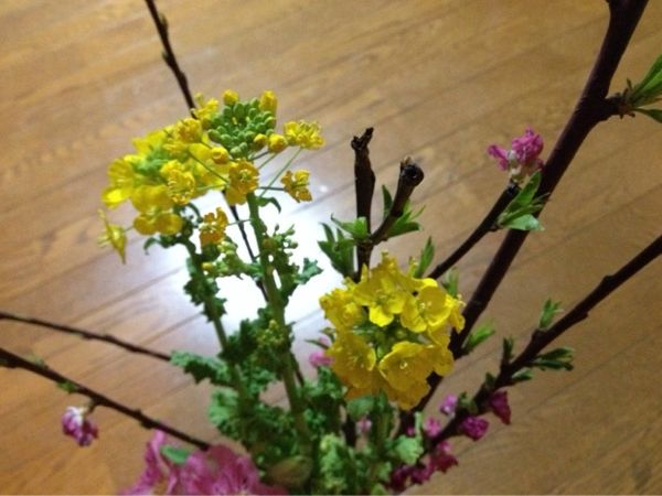 rblog-20140301211002-00.jpg