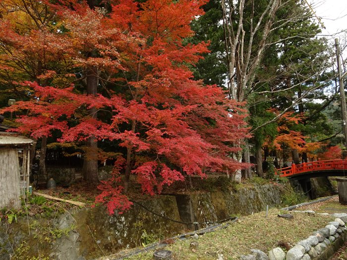 DSC06013_R.JPG