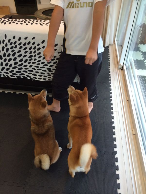 rblog-20150717210311-01.jpg