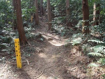 長靴登山(鎌北湖周辺) | 山とボードのブログ - 楽天ブログ