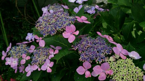 rblog-20150626125212-02.jpg