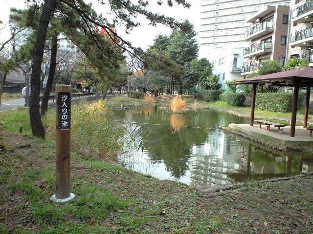潮入りの池