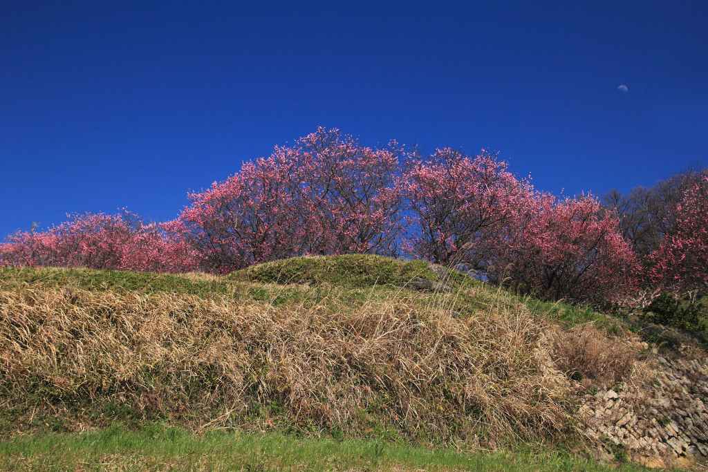 明日香村_005.jpg