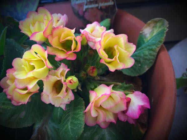 rblog-20160225162452-03.jpg