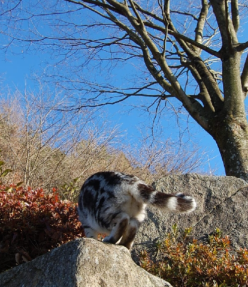 DSC_0089.JPG