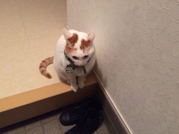 rblog-20141201071600-04.jpg