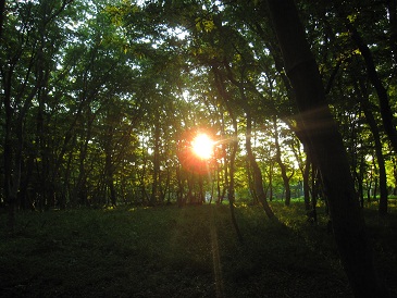 IMG_8591.JPG