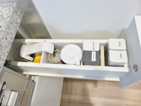 IMG_0388 (480x360).jpg