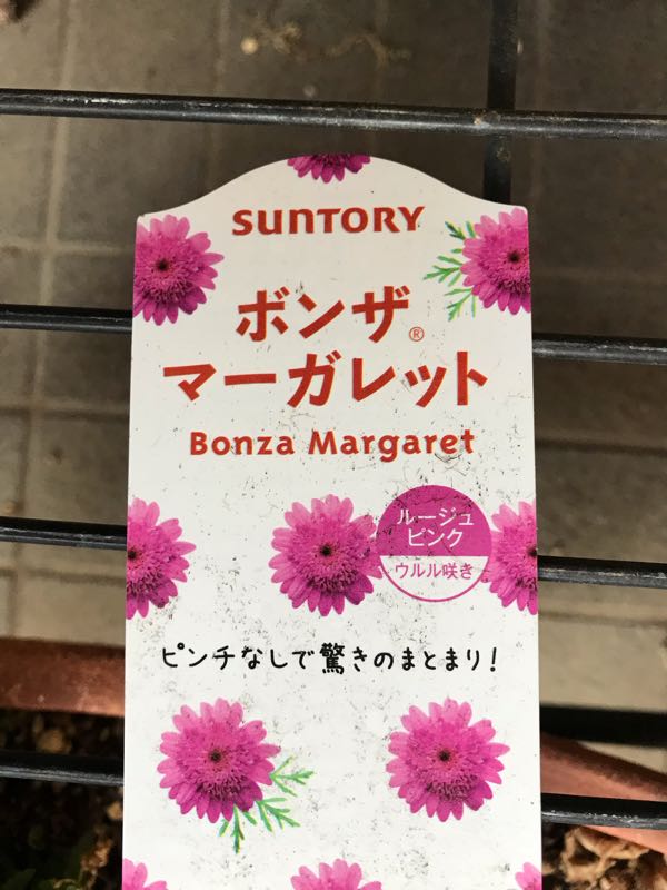 rblog-20190324174258-03.jpg