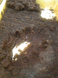 120320_121639.jpg