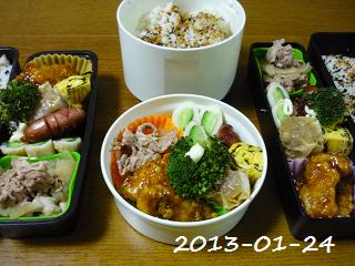 20130124a.JPG