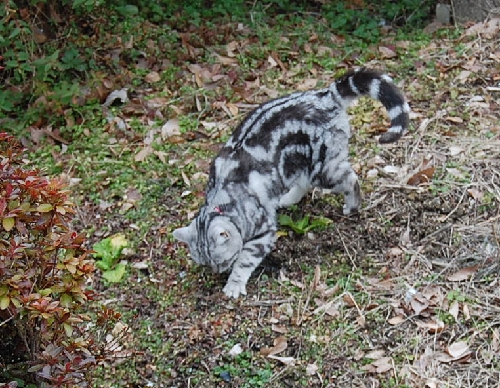DSC_0039.JPG