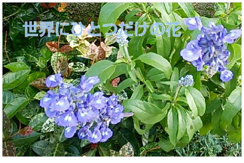 rblog-20160703131223-00.jpg