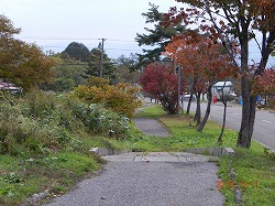 DSCN8417.jpg