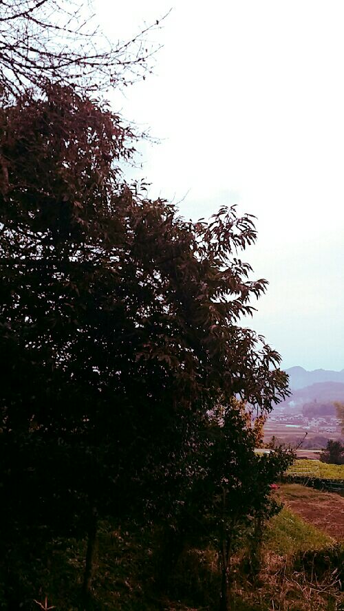 rblog-20151129173712-03.jpg