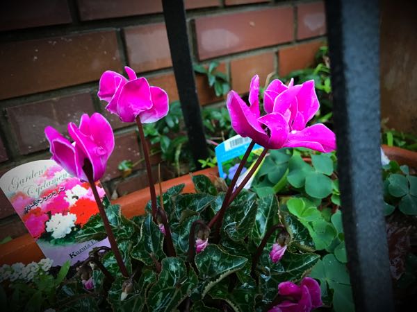 rblog-20161129163609-01.jpg