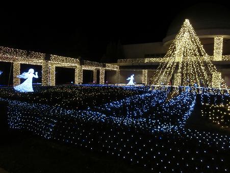 フラワーパーク