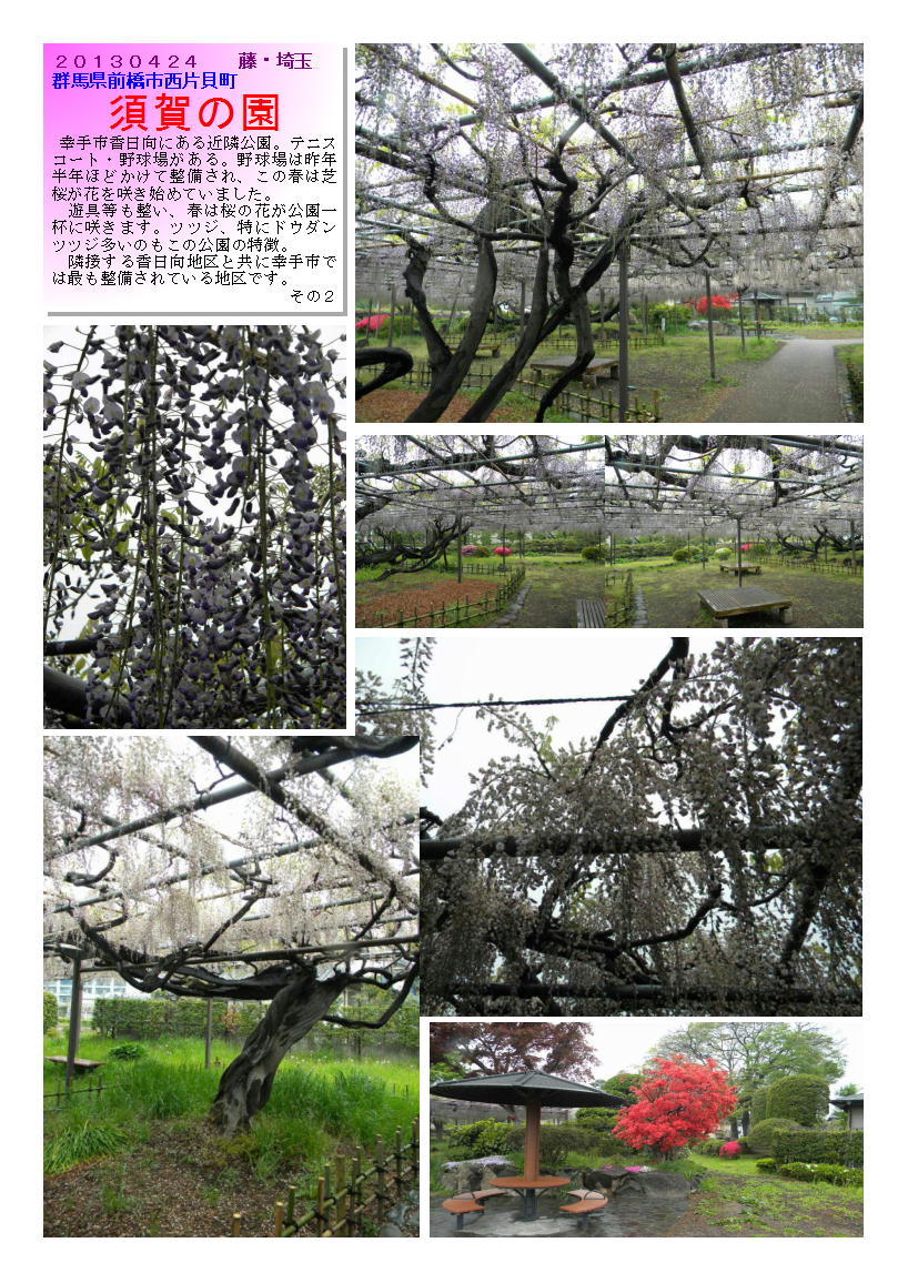 20130424suganosono2-fuzi.jpg