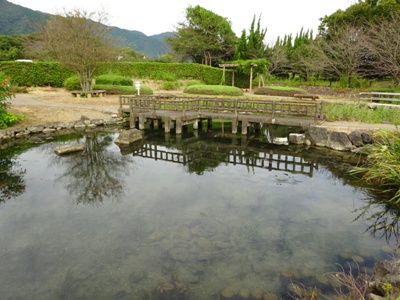 写真3.JPG