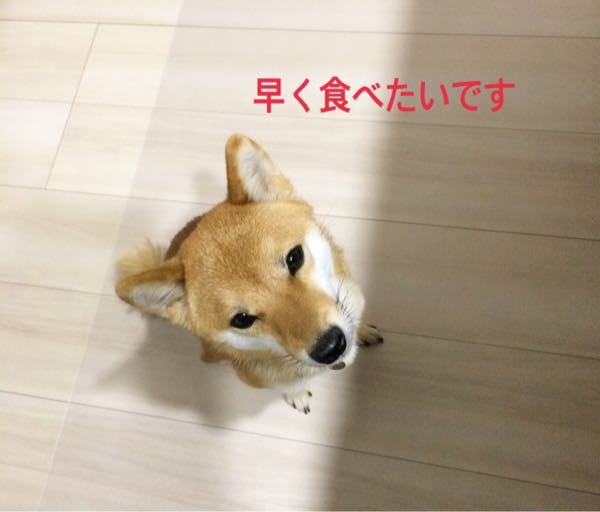 rblog-20170201120709-01.jpg