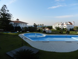 DSCN7981-2.jpg