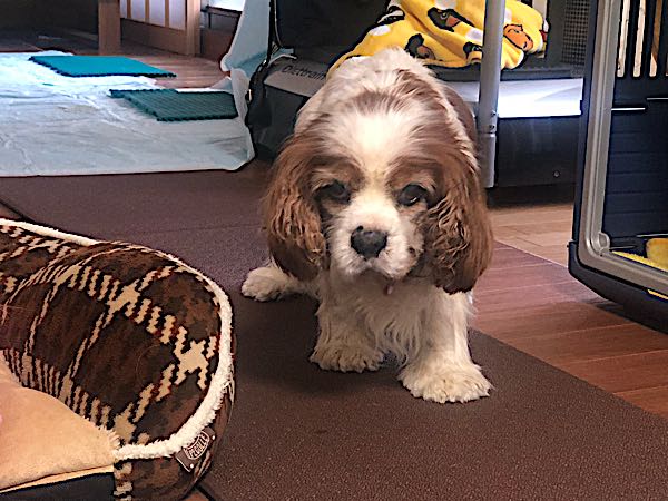 rblog-20180227113615-04.jpg