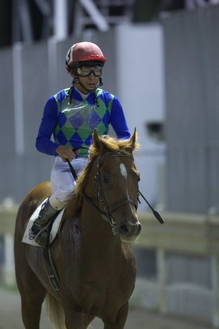 レース後