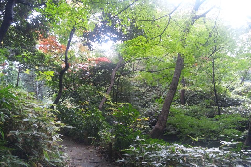 DSC_0073.JPG
