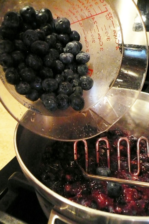 blueberries 02.jpg
