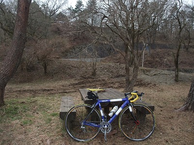 20130320万葉公園下坂