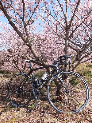 20140323矢倉沢公民館前さくら