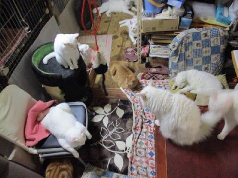 16a0818.jpg