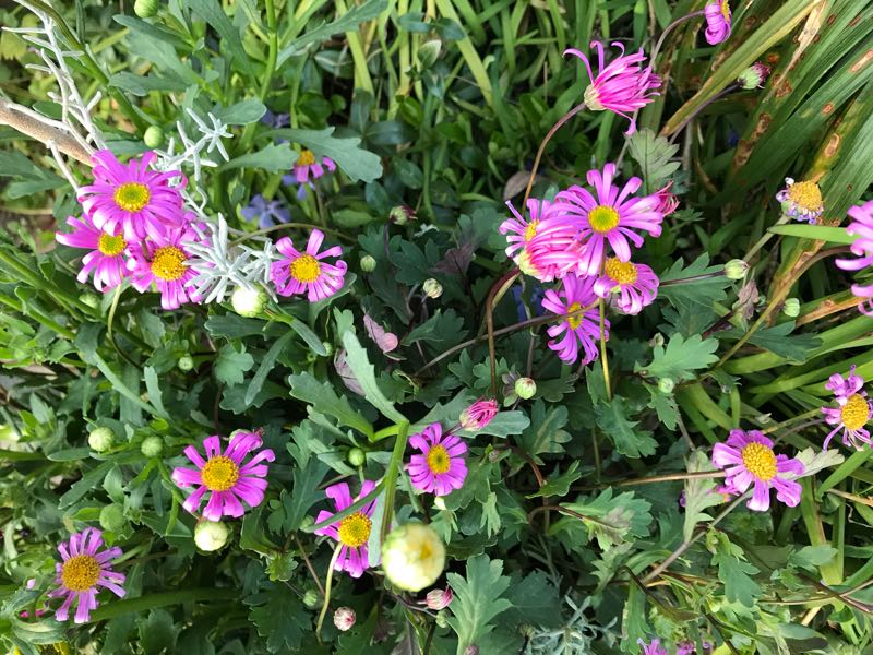 rblog-20190324173608-08.jpg