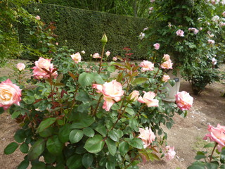 P1190077.jpg