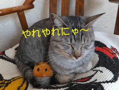 20121122_4.jpg