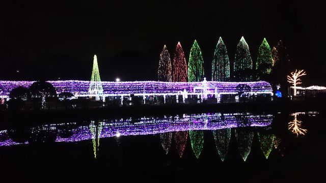 2015-12-20 18.37.10.jpg