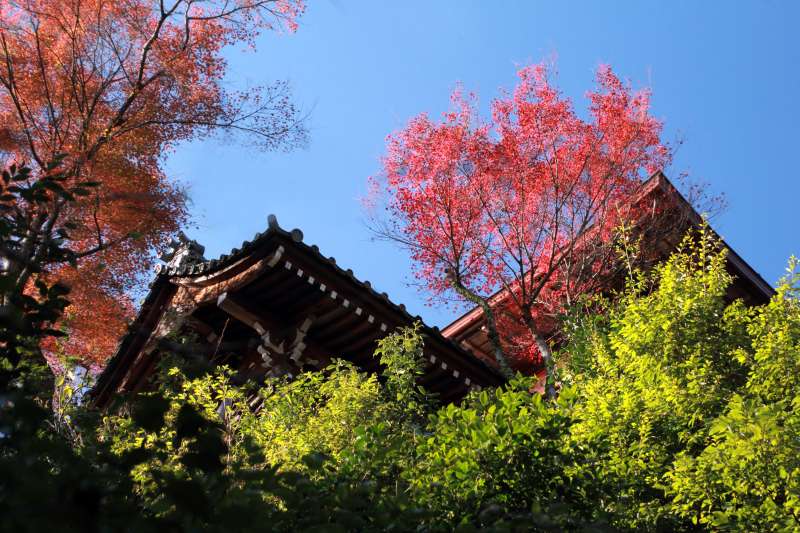 千光寺_002.jpg